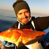 alberto costantini (@albert_cost67) 's Twitter Profile