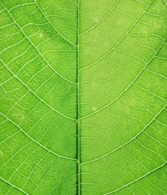 Akbar_sei's profile picture. tidur siang itu kenikmatan