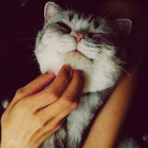 GubarevaY Profile Picture