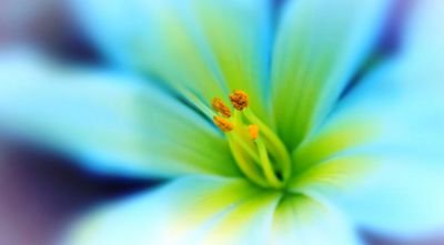 cna_certified's profile picture. I'm a CNA, HHA, and a Hospice Aide. I don't let alot of people in my world. I'm making alot of positive moves in my life. So your either for me or against me. E