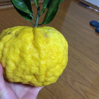 ぱずどら垢
