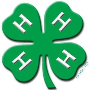 Hyde County 4H Council: A group of 4H teens that support the overall Hyde County 4H Program.