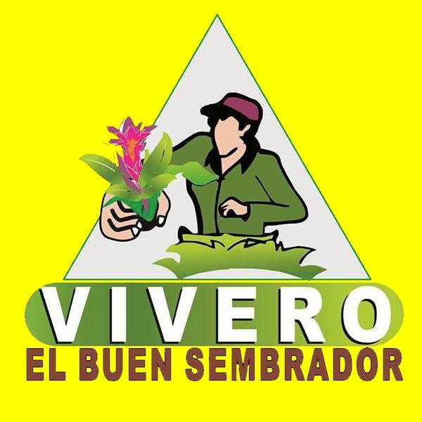 VSembrador's profile picture. 