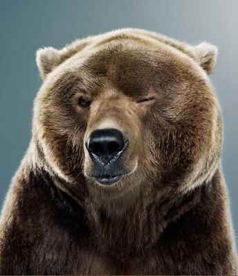 Mikoulchik's profile picture. Nizhny Novgorod, Russia, Worldwide