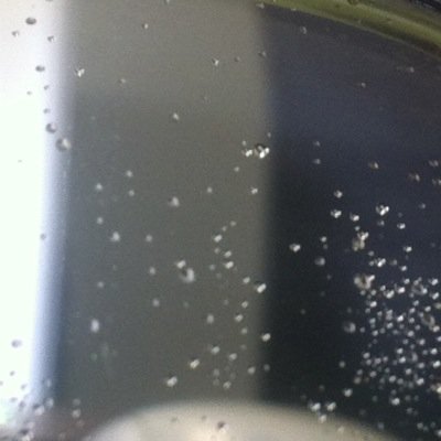 AndreasCoreli's profile picture. Editor en Jefe.