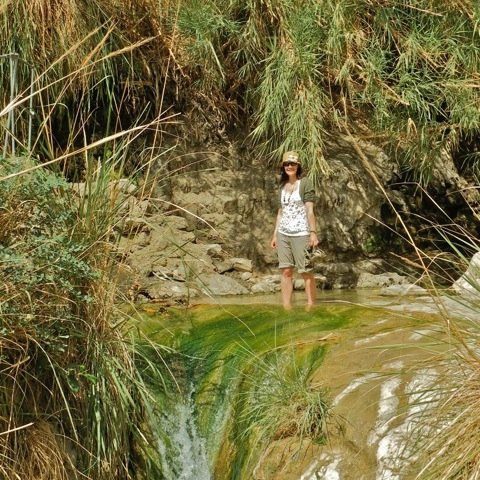 travellingmolly's profile picture. One girl. One lens. One world. Photographer with a passion for travel. Co-host #travelpics. Come & join me on the journey.....