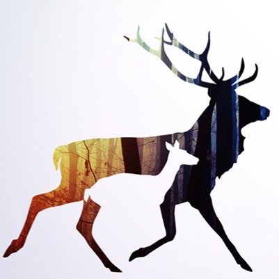 linegram's profile picture. 