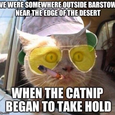 justmehrie's profile picture. Two things are infinite: the universe and human stupidity; and I'm not sure about the universe. I'm a single-mom, RN, and I love concerts!