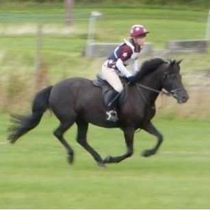 Recently graduated equine vet