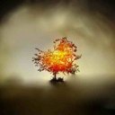 Freddy Lee Owens - @DaHolyMessenja - Twitter