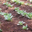 james honore - @jameshonore - Twitter