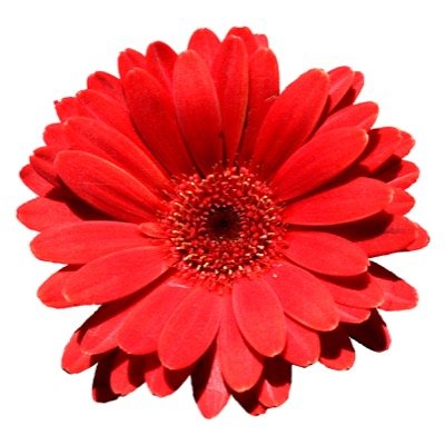 therealruIes's profile picture. do not read the disgusting sexist @rulesforgirls account, only read this one because you are beautiful