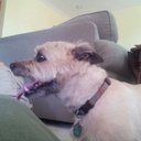 Wale Williams - @cffacetheGrace - Twitter