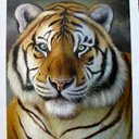 Leslie Bland - @lesbland45 - Twitter