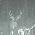 #Packers #Brewers #Badgers #Whitetails #Walleyes.