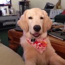 Vanessa Daugherty - @cxsk8erboi68 - Twitter