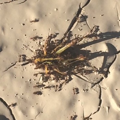 mattboyd53's profile picture. 