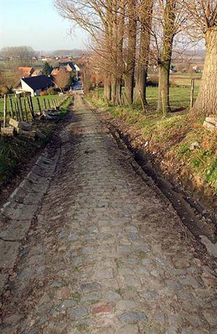 THeard's profile picture. Love Jesus, Husband, Father, Cyclist, Business owner, Coffee drinker