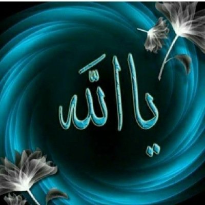 أحب الاجتماع في هذه البرامج