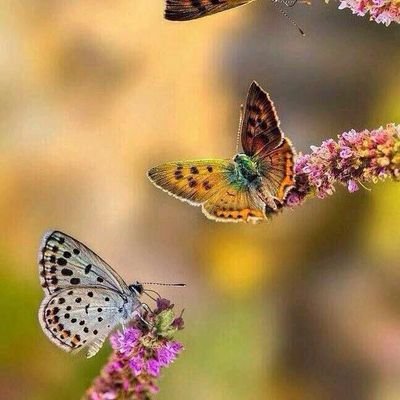 يارب احفظ لي صغاري ولاتريني فيهم مكروه ❤️