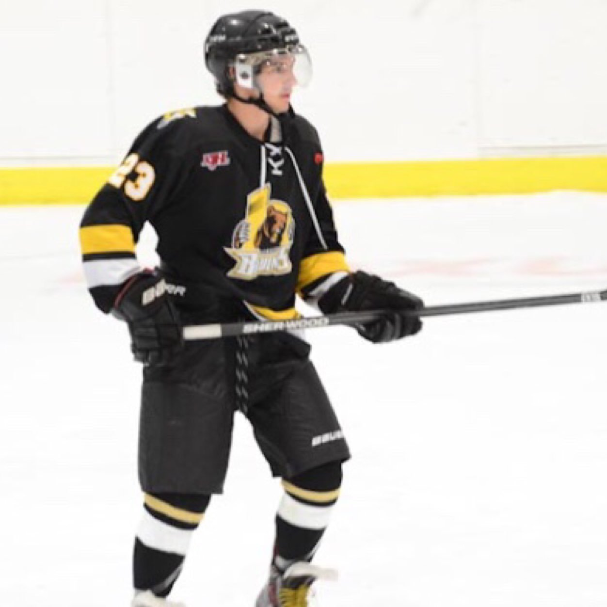 DoakyBear17's profile picture. 