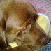 James George (@james71george) Twitter profile photo