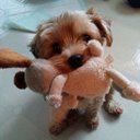 Phyllis Marsh - @4upuff - Twitter