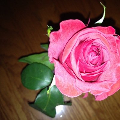 MCGR0908's profile picture. 