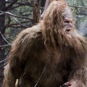 SquatchLyfe's profile picture. Lurking in the woods since before humans were here.