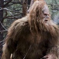 Mr. Foot (@squatchlyfe) 's Twitter Profile
