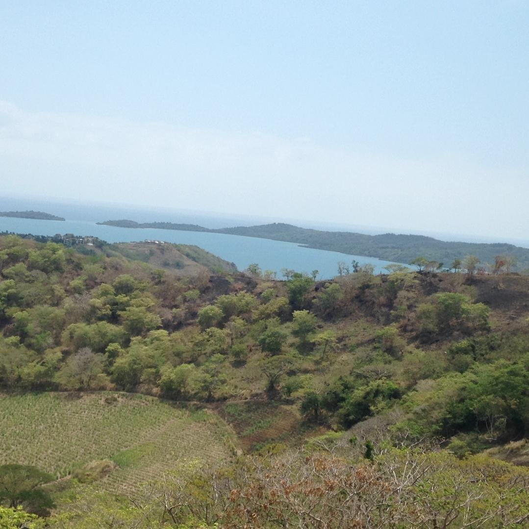 FarahGhaboos's profile picture. 