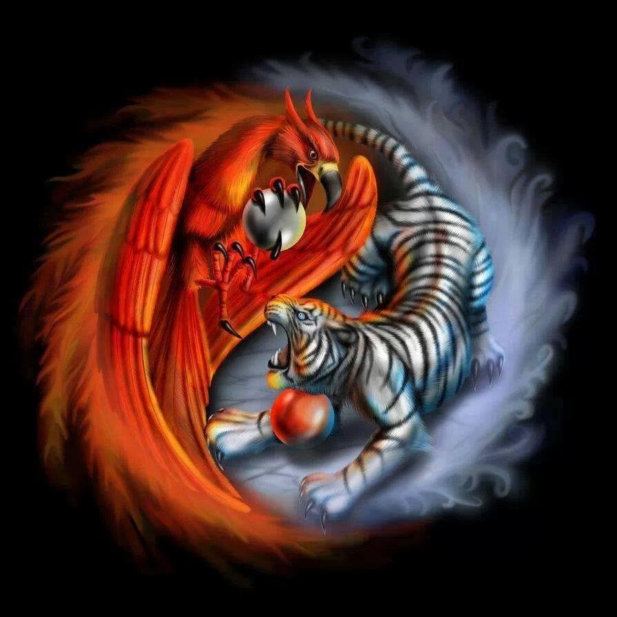 Karate-Do Shito-Ryu - Shoto-Kan