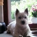 James Truss - @james_truss67 - Twitter