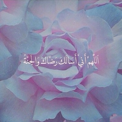 هل هناك هدف مشترك أكبر بين أبناء الإسلام أجمعين؟لا شك نعم ،إنه بلوغ جنان النعيم فاتقوا الله تفوزوا بجنة فيها ما لا عين رأت ولا أذن سمعت ولا خطر على قلب بشر ✨.