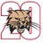 BVBobcats's profile image
