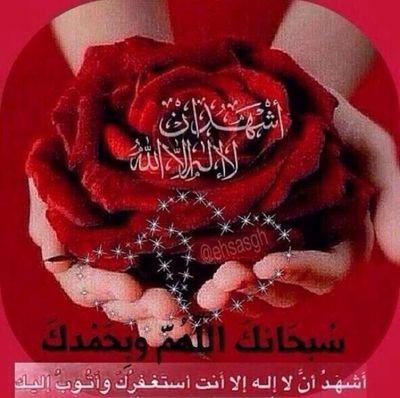 ‏‏هل تريد كنزا من كنوز الجنة؟

قال رسول الله صلى الله عليه وسلم :قل لا حول ولا قوة إلا بالله فإنها كنز من كنوز الجنة. متفق عليه