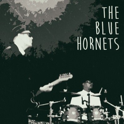 The Blue Hornets are a Ska/Rocksteady band, formed from the remains Giant Steps, Sub Agencia, Danny Winn and the Earthlings, Cool Runnins, and Beat Fetish.