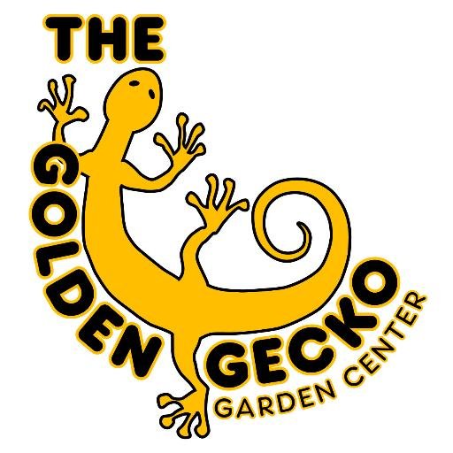 Trey Pitsenberger is the owner of The Golden Gecko Garden Center.