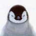 Pingvinski Princ (@maloudaren) Twitter profile photo