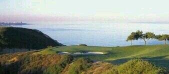 NanuBuckeyeGC's profile picture. 