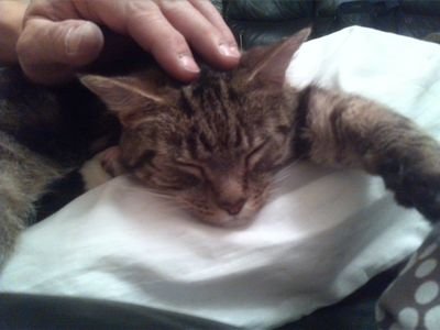 deeptongueAKAho's profile picture. Looking for fun,NSA,webcam, pictures share, flirting, etc,keep in mind we may never meet so don't hold back be yourself, you'll find its more fun