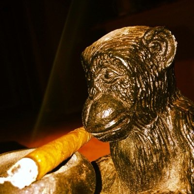 paddyfatsacks's profile picture. To each their own, until we all go home🙂