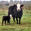 Chad Gooch - @GoochChad - Twitter