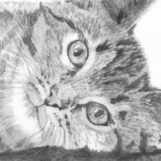 Nursery Nurse and Artist, providing School Art Days for KS1 KS2 and foundation. See my website for further information and examples of my work.