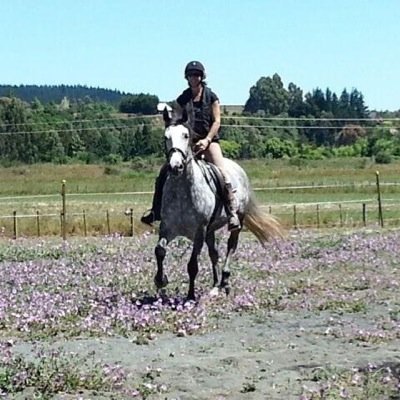 Lawyer at Stevens Orchard Lawyers, Mum, horsey girl and keen Gigatown Supporter