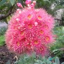 Danielle Hoffman - @dannyaxman - Twitter