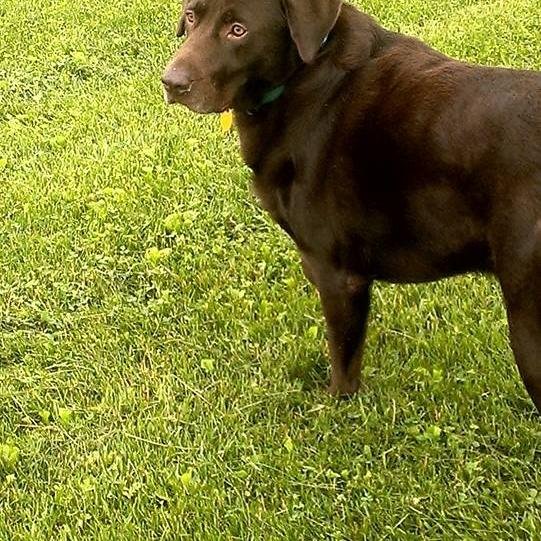 ZyhcGo's profile picture. 