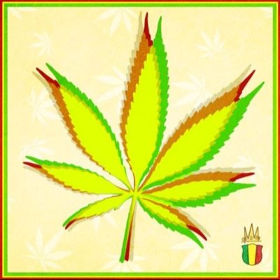 Jamaican bwoy