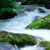 FWS Journal (@freshwatersci) Twitter profile photo FWS Journal (@freshwatersci) Twitter profile photo