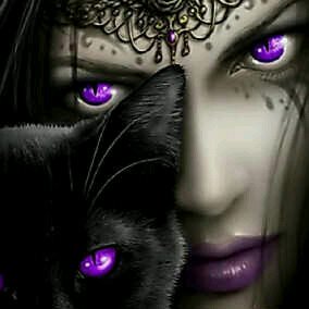 soloblaze1's profile picture. 